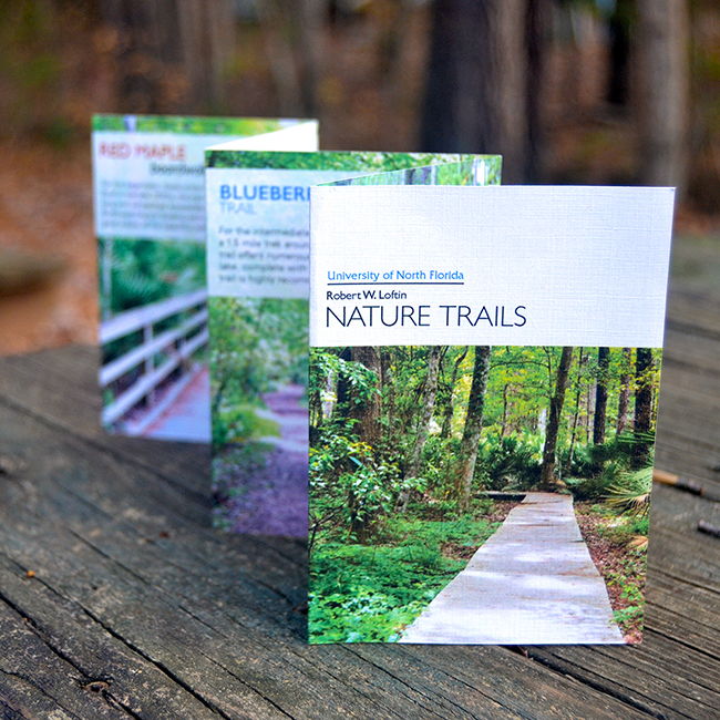 University of North Florida nature trail brochure