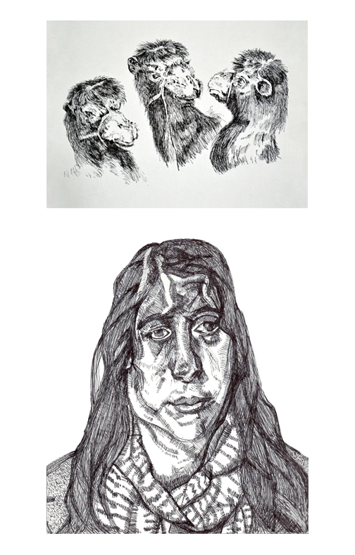 ink drawings