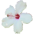 psychic readings