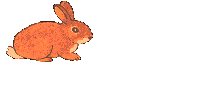 mbunnyani.gif (28346 bytes)