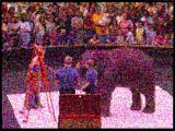 The Circus