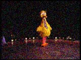 Sesame Street Live