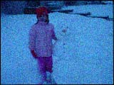 Snow Day