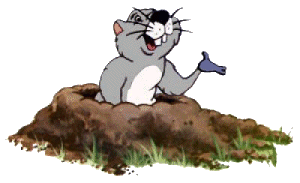 Gopher