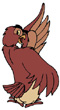 Owl suggesting which way to go