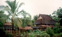Dai's house1.JPG (5651 bytes)