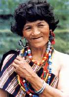 Dulongzu.jpg (7516 bytes)