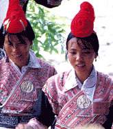 Shezu.jpg (9268 bytes)