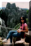 Stones Forest