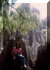 Stones Forest