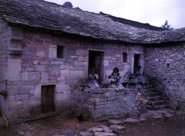 buyi's house.jpg (4498 bytes)
