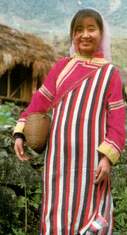 dulong1.JPG (7861 bytes)