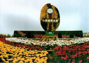 flowers2.JPG (15108 bytes)