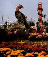 flowers3.JPG (8113 bytes)