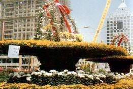 flowers4.JPG (13370 bytes)