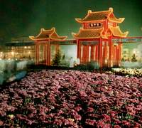flowers7.JPG (10462 bytes)