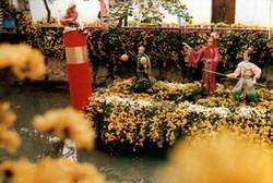 flowers8.JPG (11884 bytes)