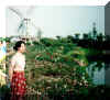 Shenzhen 