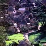 hani2.jpg (6726 bytes)