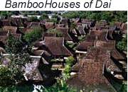 houses.jpg (8127 bytes)