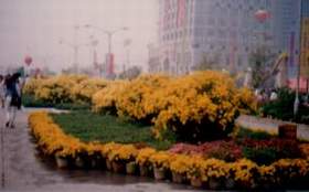 juf.JPG (8342 bytes)