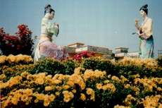 juk.JPG (8972 bytes)