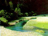 lake3.jpg (6991 bytes)