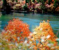 lake4.jpg (9297 bytes)
