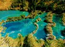 lake5.jpg (8758 bytes)