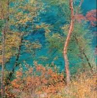 lake6.jpg (11267 bytes)