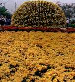 liju3.JPG (8562 bytes)