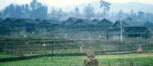miaovillage.jpg (7909 bytes)