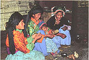 pumi3.jpg (8948 bytes)