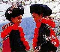 yaogirls.jpg (9293 bytes)