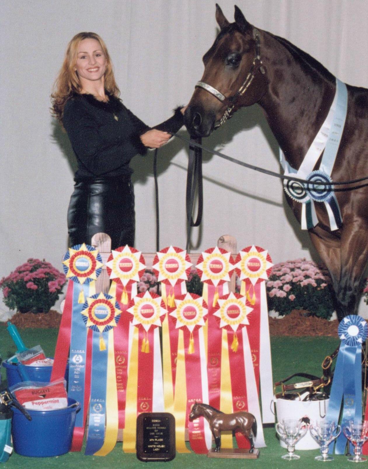 Winner's Circle Custom Show Apparel & Show Horses