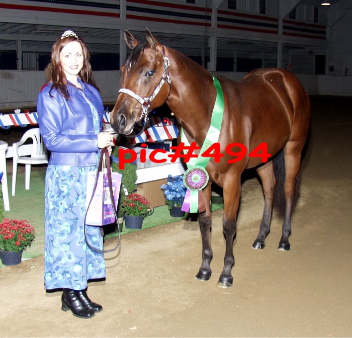 Ducky*Horse of the Year
