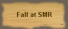 Fall at SMR