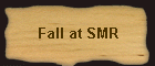 Fall at SMR