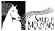 SMR Logo