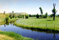 The river runs through the property