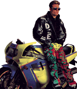 Vanilla Ice?&nbsp; How Does One Man Come To The Decision To Live His Life With Such A Stupid Bloody Name?&nbsp; Well If You Were Born "Robert Van Winkle" I Don't think You Would Find The Decision Too Hard Either.