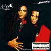 The CD As I Remeber It.&nbsp; This Must Have Been An Australian Release Only Or Something.&nbsp; It Was Called "All Or Nothing" And Was Just As Brilliant As "Girl You Know It's True" Only With A Little Extra Vanilli In The Recipe.&nbsp; Yum!