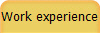 Work experience