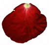 Rose Leave