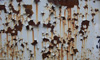 Heavy Rust