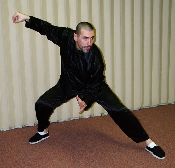 master zimmerman demonstrates the tai ji posture "snake creeps down"