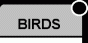 Images: Birds