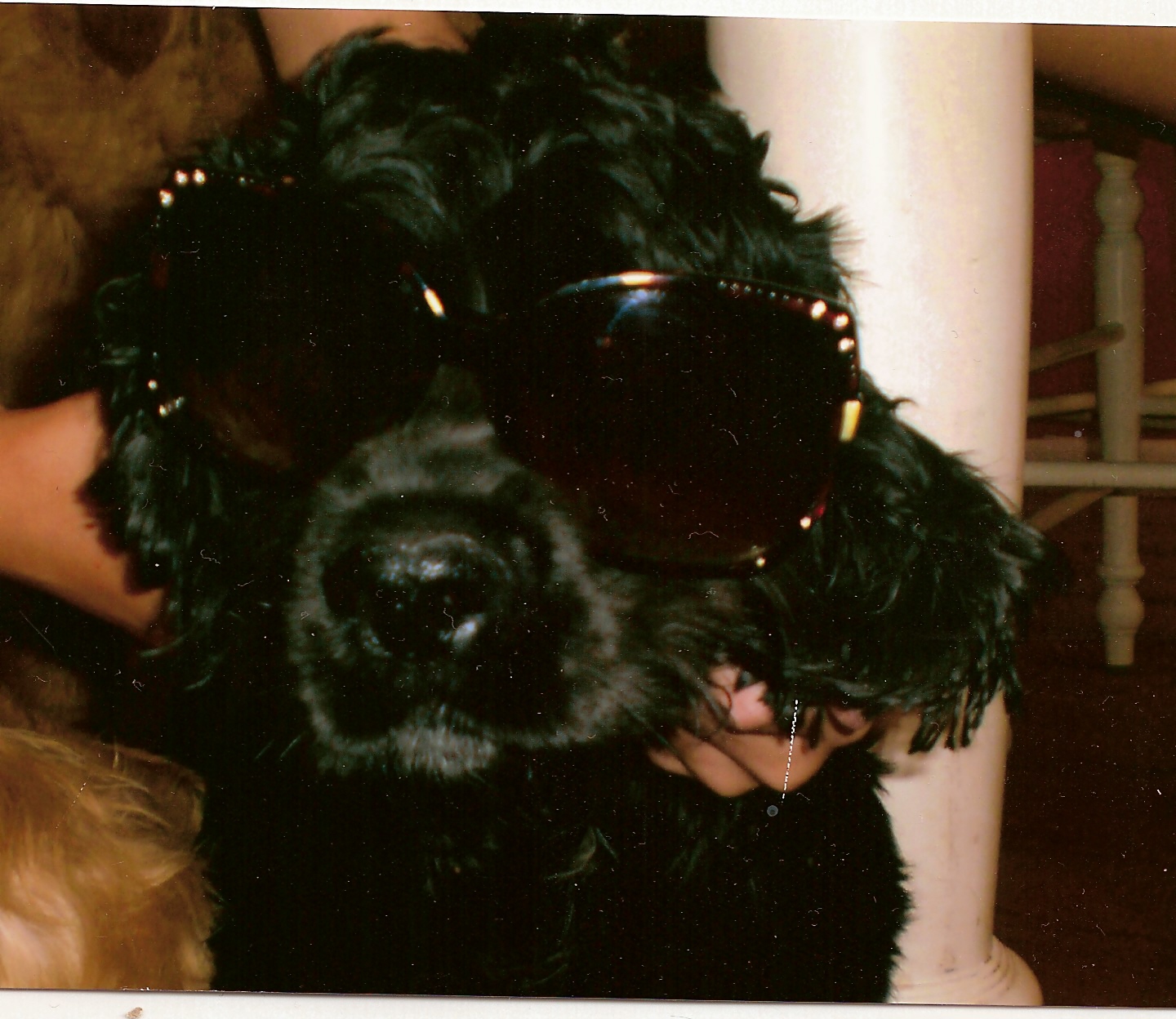 Roxy!
