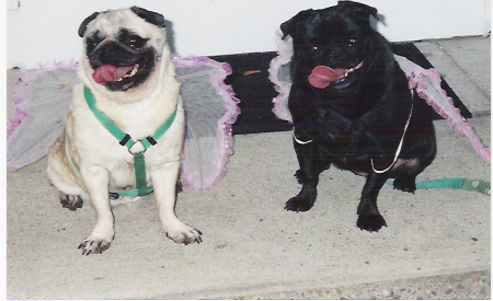 Lucy and Precious
