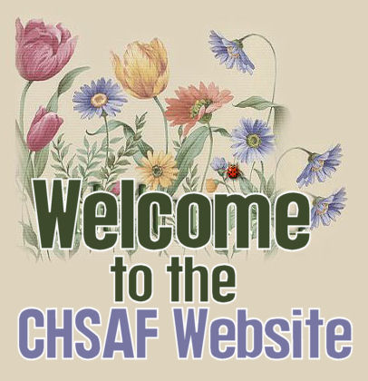Welcome to the College of the Holy Spirit Alumnae Foundation Website